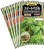 タキイ種苗 お買い得５つセット ハーブ　スイートバジル