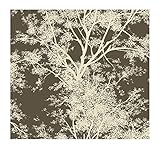 York Wallcoverings AP7505SMP Silhouettes Contemporary Trees Wallpaper Memo Sample, 8-Inch x 10-Inch 