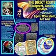 THE DIRECT ROUTE to Judgment, Maturity, Wisdom-48 Genres 256 Effects of Non-Linearity: 5 POWERS of Non-Linearity to Disrupt or Invent + 5 TOOLS for USING ... Varieties LIKE Jobs-Apple (English Edition)