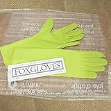 フォックスグローブ：オーガニックグローブ・スプリンググリーンS[園芸用手袋・女性用サイズ] ノーブランド品