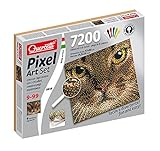 Quercetti Cat Pixel Art Set [並行輸入品]