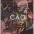 CAO(通常盤)