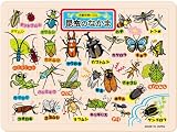 木製知育パズル 昆虫のなかま