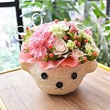 [エルフルール]生花 くま顔バスケット店長おまかせアレンジメント お祝い フラワーギフト 誕生日 プレゼント (ホワイト)
