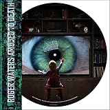 AMUSED TO DEATH [2LP] (PICTURE DISC) [Analog]