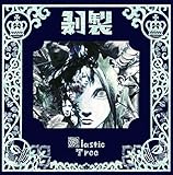 ����(��������)