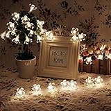 Sund ストリングライト LED 飾りライト 梅花形 電池式 1.2M 10個 明るい　デスク ベッド 天井 パーティー クリスマスツリー ドア 雰囲気変え ウォームホワイト