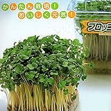 【種子】かいわれブロッコリー　中原種苗場のタネ　