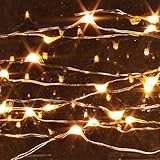 The Gerson Company 39835 48" Micro LED Light String, Warm White [並行輸入品]