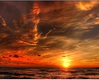 Amazon 絵画油絵 アクリル絵の具 アクリル顔料 子供用 イラスト 塗り絵 クラフト 美術 画材 宿題 初心者 専門家 黄2 絵具 通販