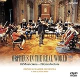 �I���t�F�E�X�����ǌ��y�c