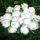 LEAZEAL ガーデンライト イルミネーションライト20球 電池式 常時点灯/点滅機能付（Fabric Rose）