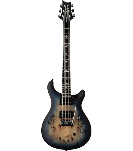 Amazon | PRS SE Custom24 Floyd Lefty Charcoal Burst エレキギター 