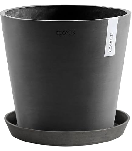 Amazon.co.jp: グリーンポット プランター テラニアス バルーン 