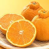 デコポン 同品種 訳ありデコみかん 10kg 箱込 (内容量9kg+補償分500g) 熊本県産 フルーツ お取り寄せ みかん ミカン 蜜柑 不知火