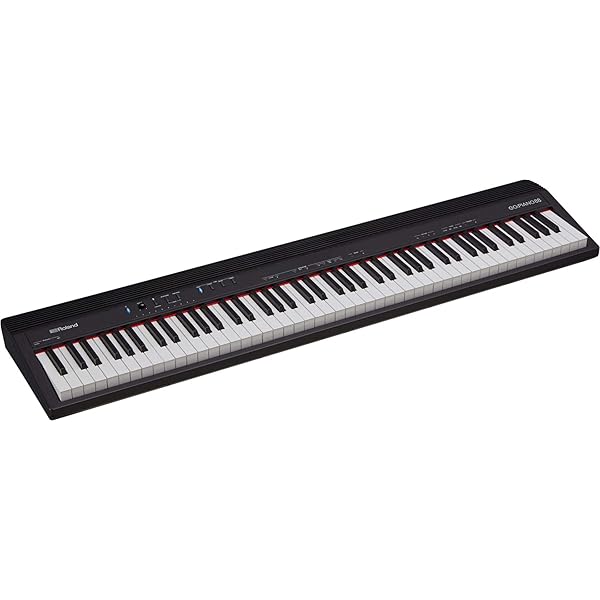 Amazon | Roland WAVE EXPANSION BOARD Symphonique Strings SRX-04 