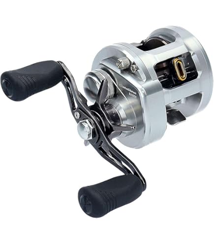 Amazon | ダイワ(DAIWA) ベイトリール リョウガ BJ C1012PE-SHL (左 