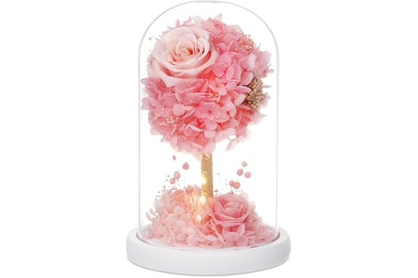 Amazon Co Jp 人気ギフトランキング 切り花 で ギフトの設定を使用して最もご注文いただいている商品