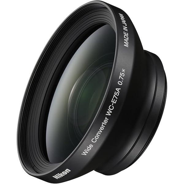 Amazon.co.jp: Canon ワイドコンバーター WD-H72 : Electronics