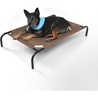 elevated dog bed with mattress