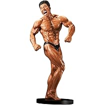 Amazon.co.jp: MUSCLE STARS PIECE なかやまきんに君 ～りそうの姿 