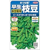 サカタのタネ 実咲野菜7381 おつまみエダマメ おつな姫