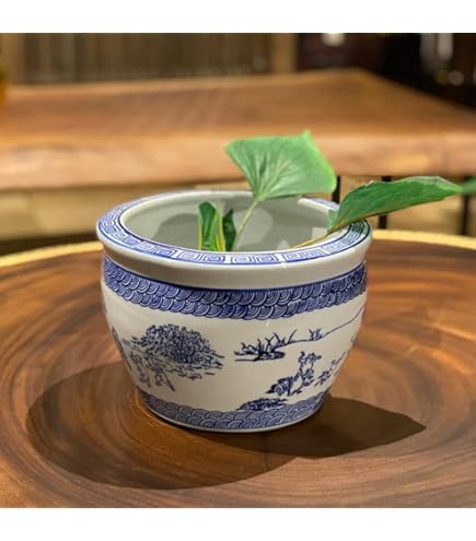 Amazon | 金魚鉢 陶器 おしゃれ 和風 水鉢 メダカ鉢 かわいい レトロ 