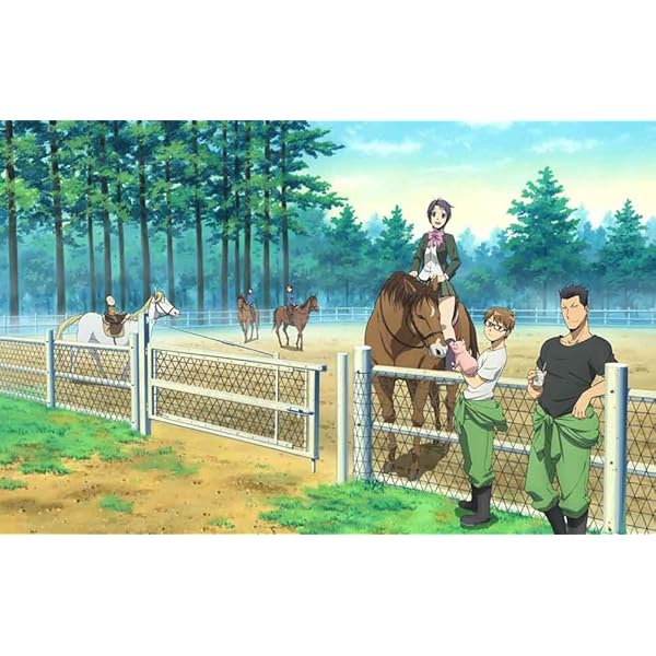 Amazon.co.jp: 銀の匙 Silver Spoon 4(完全生産限定版) [Blu-ray  