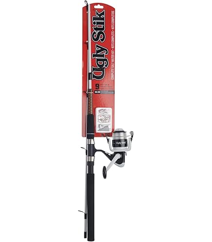 Daiwa DSK20-2B/F602ML D-Shock Freshwater Spinning Combo, 2 Bearings, 6'  Length, 2Piece Rod, Medium,/Light Power : Amazon.sg: Sporting Goods