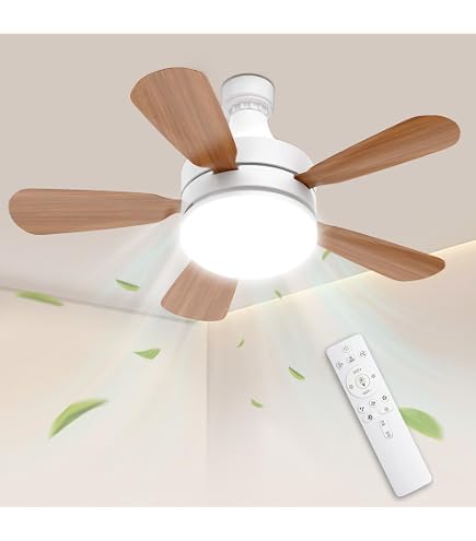 Amazon.co.jp : Qifeiyax シーリングファンライト 小型 6~8畳 24W 