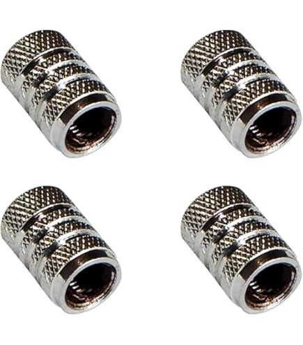 Amazon | オービトロン チタンエアバルブキャップ チタンシルバー 米式  