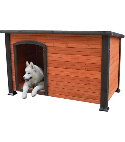 Amazon | 大型犬小屋 ステンレス製 ドッグハウス DFS-M2 (1坪タイプ 