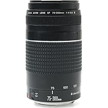 Amazon.co.jp: キャノンEF 75-300mm f/4-5.6 III 望遠ズームレンズ 