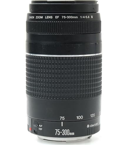 Canon EF-M 55-200mm f/4.5-6.3 Image Stabilization STM Lens (Black 