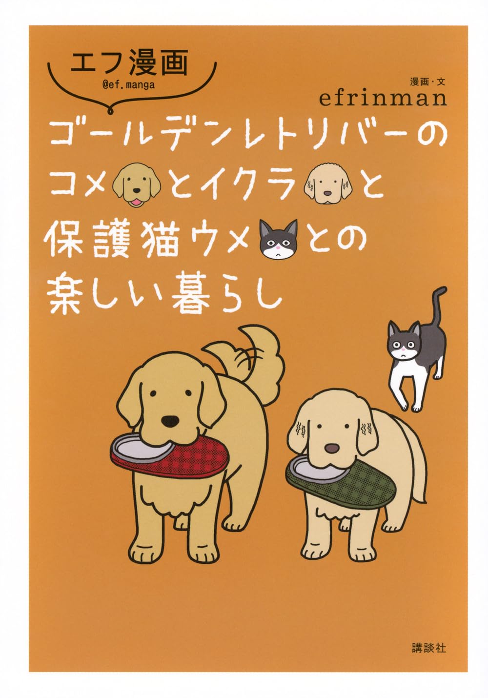 エフ漫画 ゴールデンレトリバーのコメとイクラと保護猫ウメとの楽しい暮らし