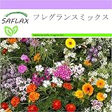 SAFLAX - フレグランスミックス - 1000 個の種。 - 18 Sorten