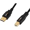 AmazonBasics USB 2.0 Cable - A-Male to B-Male - 6 Feet (1.8 Meters ...