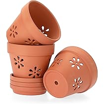 鉢5個セット 植木鉢 陶器鉢 TOKY 61-0DiRYWPL._AC_UL210_SR210,