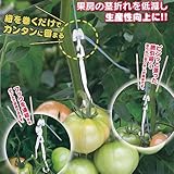 房吊りフック 紐用 1,000個 FTH-W10 トマト シーム タ種代不