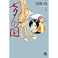 七夕の国 (2) (小学館文庫 いK 2)