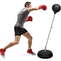 61-1WyXwwyL._AC_UL210_SR210,