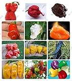 24 kinds 200 vegetable fruit pepper seeds, Giant chili seeds + sweet pepper + Carolina Reaper" + hot