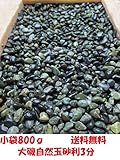 自然大磯化粧玉砂利3分　お花・お庭のアクセントに (800 グラム)