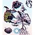 DIR EN GREY「TOUR13 GHOUL(通常盤 / Blu-ray)」