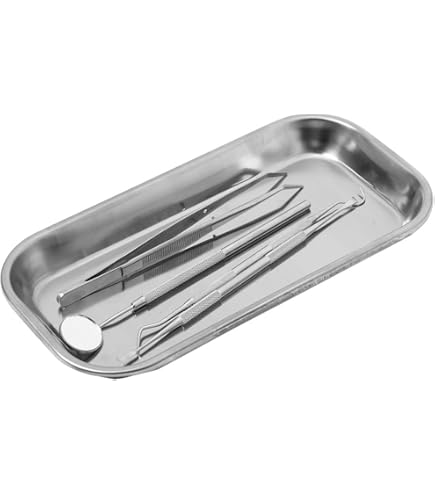 Amazon.co.jp: 腎臓皿 医療 歯科 獣医用 Equinox® ステンレス