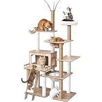 61-5SInisPL._AC_UL210_SR210,