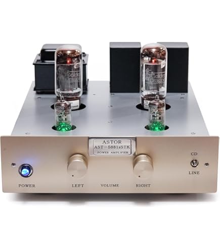 真空管アンプ 高級感溢れ】 Nobsound HiFi EL34 完全に手作り 真空管アンプ