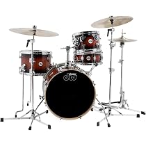 Amazon.co.jp: DW Design Series Mini-Pro Kit Tobacco Burst 18インチ 