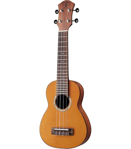 Amazon.co.jp: aNueNue aNN-MN14 ナイロン弦モデル 3/4 : 楽器・音響機器