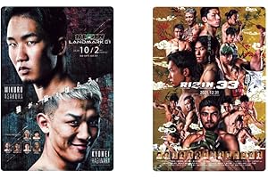 RIZIN ポテトスティック ポスターカードコレクション 10個 BOX 食玩